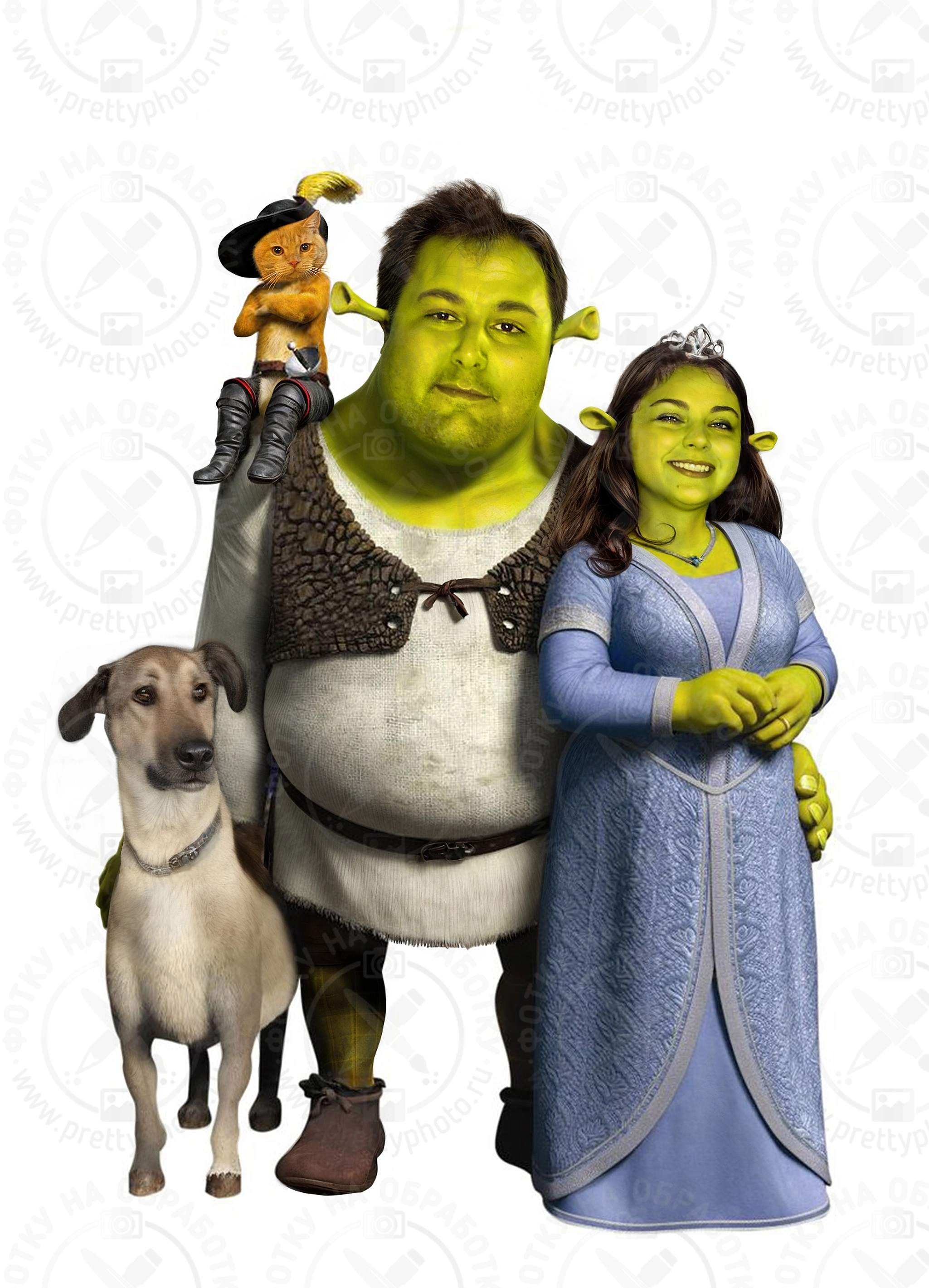 Образец работы по вставке лица в картинку Shrek