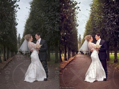Цветокоррекция свадебной фотографии